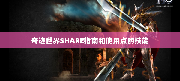 奇迹世界SHARE指南和使用点的技能