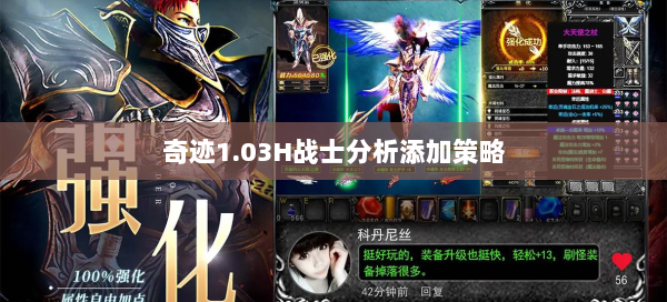 奇迹1.03H战士分析添加策略